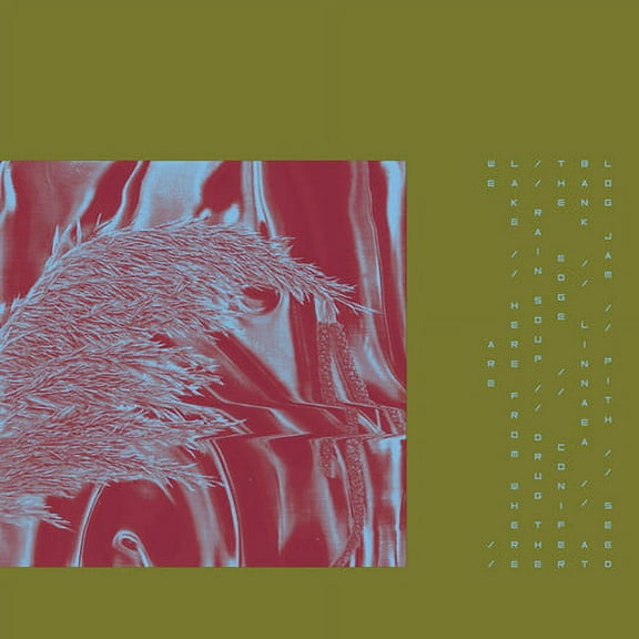 Pariah - Here From Where We Are - Music & Performance - CD