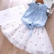 thumbnail image 2 of Nuevo Lindo Bebé Niñas Primavera Verano Denim Princesa Ropa Niño Tutú Bebé Niñas Tul Malla Vestido Casual Conjunto de dos piezas 2-6Years3T (Etiqueta 110) Gao Jinjia LED, 2 of 2
