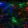 thumbnail image 5 of SoftTwinkle 4' x 6' Multicolor LED Christmas Net Lights Mesh Lights for Party Indoor Outdoor Use – Green Wire, 5 of 6