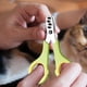 thumbnail image 4 of Clearance!Cortauñas de doble agujero,cortauñas para gatos ciegos pequeños,cortauñas especial para Gato,cortauñas con orificio redondo,cortauñas, 4 of 8