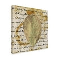 thumbnail image 2 of Trademark Fine Art 'Earth Leaf II' Canvas Art by Alonzo Saunders, 2 of 3