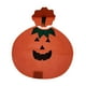 thumbnail image 3 of Disfraz de vegetales para niños, traje de cosplay para fiesta, accesorios de vestir, puesta en escena , calabaza, 3 of 9