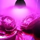 thumbnail image 4 of Bombilla Full Spectrum 28W E14 LED Grow Light AC85-265V LED Growing Lamp Plant Light Lamparas, 4 of 9
