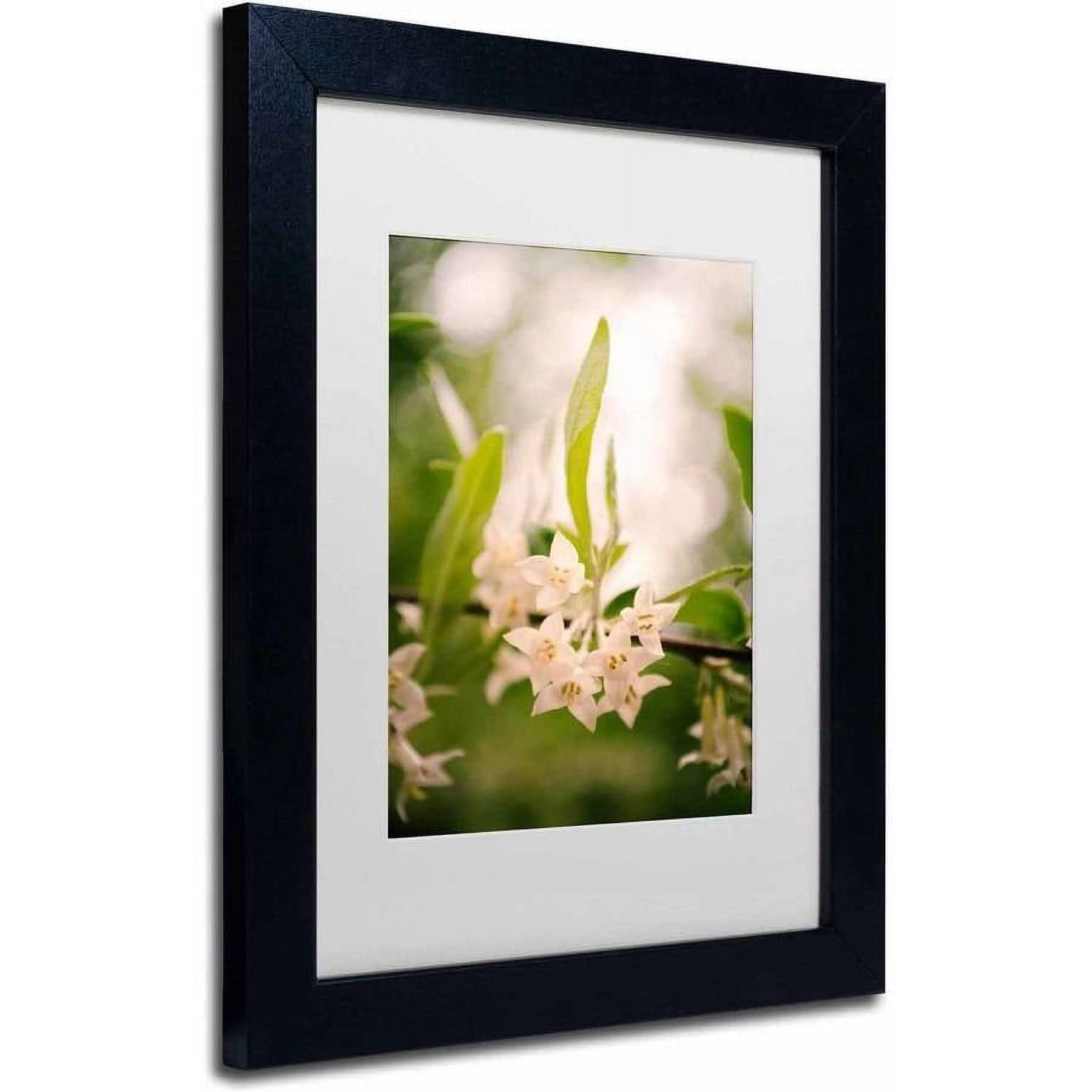 Trademark Fine Art 'Floral Tranquility' Canvas Art by PIPA Fine Art, White Matte, Black Frame
