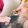 thumbnail image 4 of 6 In 1 Professional Stainless Steel Safety Round Tip Dog Grooming Scissors Kit, For Dog Cat Grooming, 4 of 5