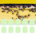 thumbnail image 4 of Queen Cell Cups Beekeeping Cell Cups, Non-Toxic Beekeeping Supplies Plastic Material Queen Rearing System, Queen Rearing System For Honey Bee, 4 of 8