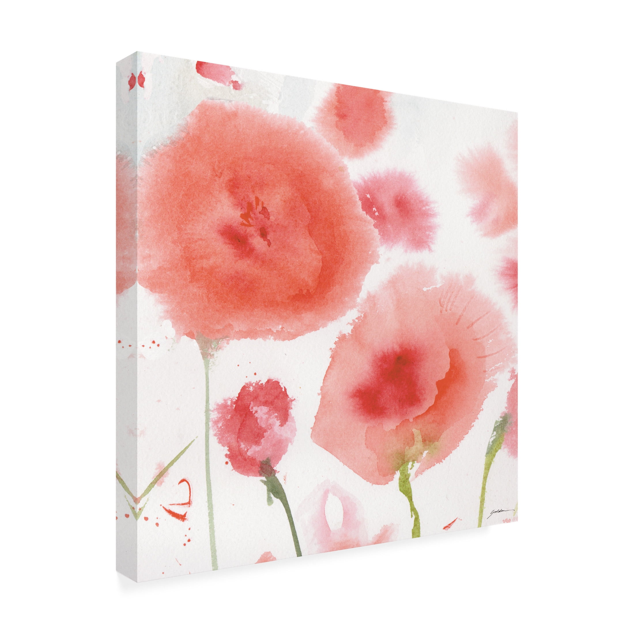 Canvas Wall Art - Sheila Golden 'Salmon Tones' Wall Art for Living Room, Bedroom, or Office Décor by Trademark Fine Art - 18 x 18 Inches