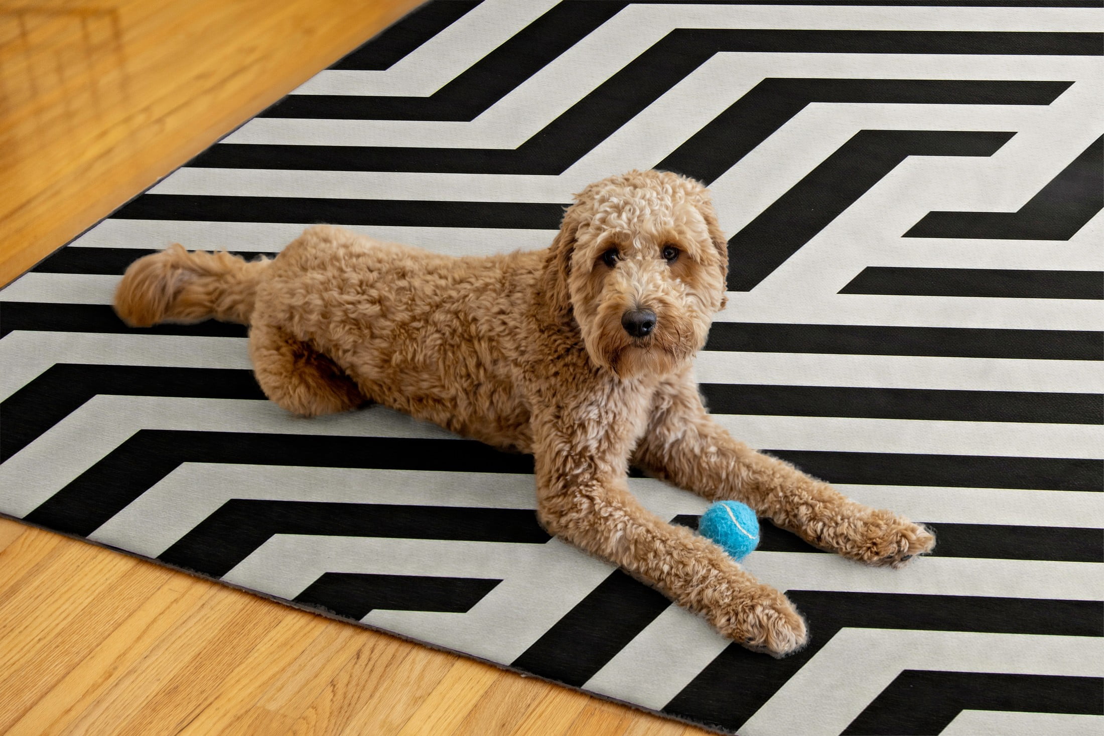 7X9 OUTDOOR WSHABL M - FRENCH