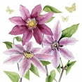 thumbnail image 2 of Popp, Grace 26x26 White Modern Wood Framed Museum Art Print Titled - Clematis Climb I, 2 of 4
