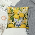 thumbnail image 2 of HENGT  Lemon Throw Pillow Covers Summer Fruit Farmhouse Decorative Pillows Case Soft Cushion Covers for Couch Sofa Patio Garden Home Decor, 2 of 5
