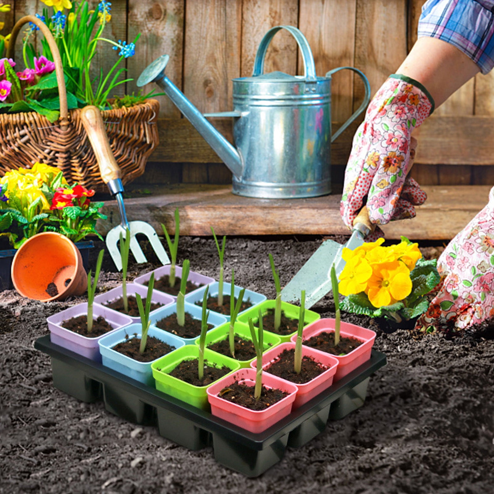 Seed Starter Tray with Lid, 12 Cells Seedling Tray Kit Reusable for Starting Vegetable, Flower & Herb Seeds Indoor Grow Kit for Deep-Rooted Seedlings