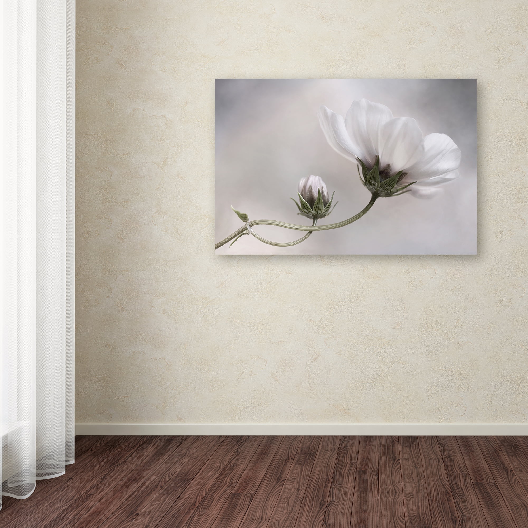 Trademark Fine Art 'Simply Cosmos' Canvas Art by Mandy Disher