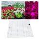 thumbnail image 3 of Luz de Cultivo de Plantas, Que Ahorra Energía a la UE 100-240V Lámpara de Cultivo de Plantas de Alta Eficiencia para el Cultivo Interior para Suculentas, 3 of 7