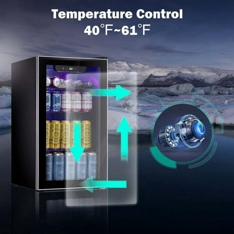 Mini Fridge, Portable Refrigerator, Cooler, Warmer with Digital Temper –  labnique