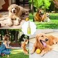 thumbnail image 4 of Moocorvic Dog Toys Chew Beer Bottle, Rubber Bottle Pet Squeaky Toy with Tennis Ball for Medium/Small Dogs, 4 of 6