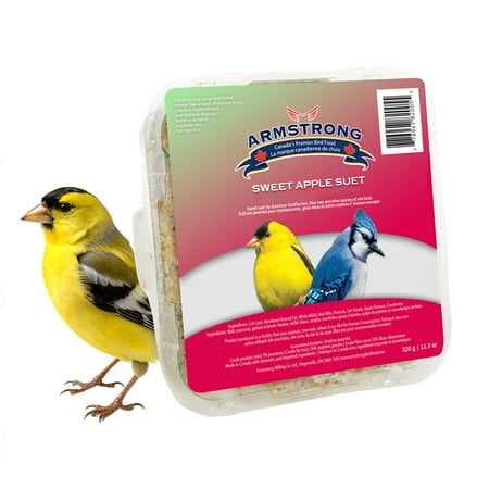 Armstrong Wild Bird Food Sweet Apple Suet Blend, 11.3oz