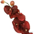 thumbnail image 4 of Hosley Artificail Flowers, 6 Pcs Orchid Phalaenopsis Touch Flowers 28Inch Long Burgundy Realistic Silk Floral Arrangement - for Wedding Party, Graden Decoration, Farmhouse, Home Décor, Office Décor, 4 of 9