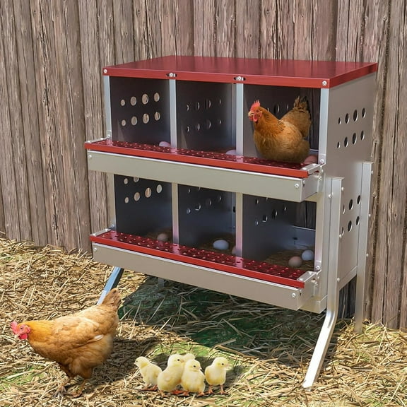 Metal Chicken Nesting Box for Laying Eggs, Rustproof Wall-mountable Roll Away Chicken Laying Boxes for Hens, Waterproof, Ventilated with Perch, 6 Compartments with Legs