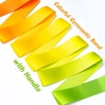 thumbnail image 3 of Cinta de Gimnasia Cikyner Paquete de 2 Colores con Palo para Niñas, 3 of 7