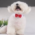 thumbnail image 3 of Collar formal para perro con lazo ajustable para mascotas, 3 of 5