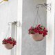 thumbnail image 3 of Macetas de Flores Al Aire Libre Tejido Plástico Cesta Colgante Montado en la Pared para Rábano Verde Suculento, Plástico Negro 8.27x8.27x6.1In, Macetas Colgantes para Plantas, 3 of 6