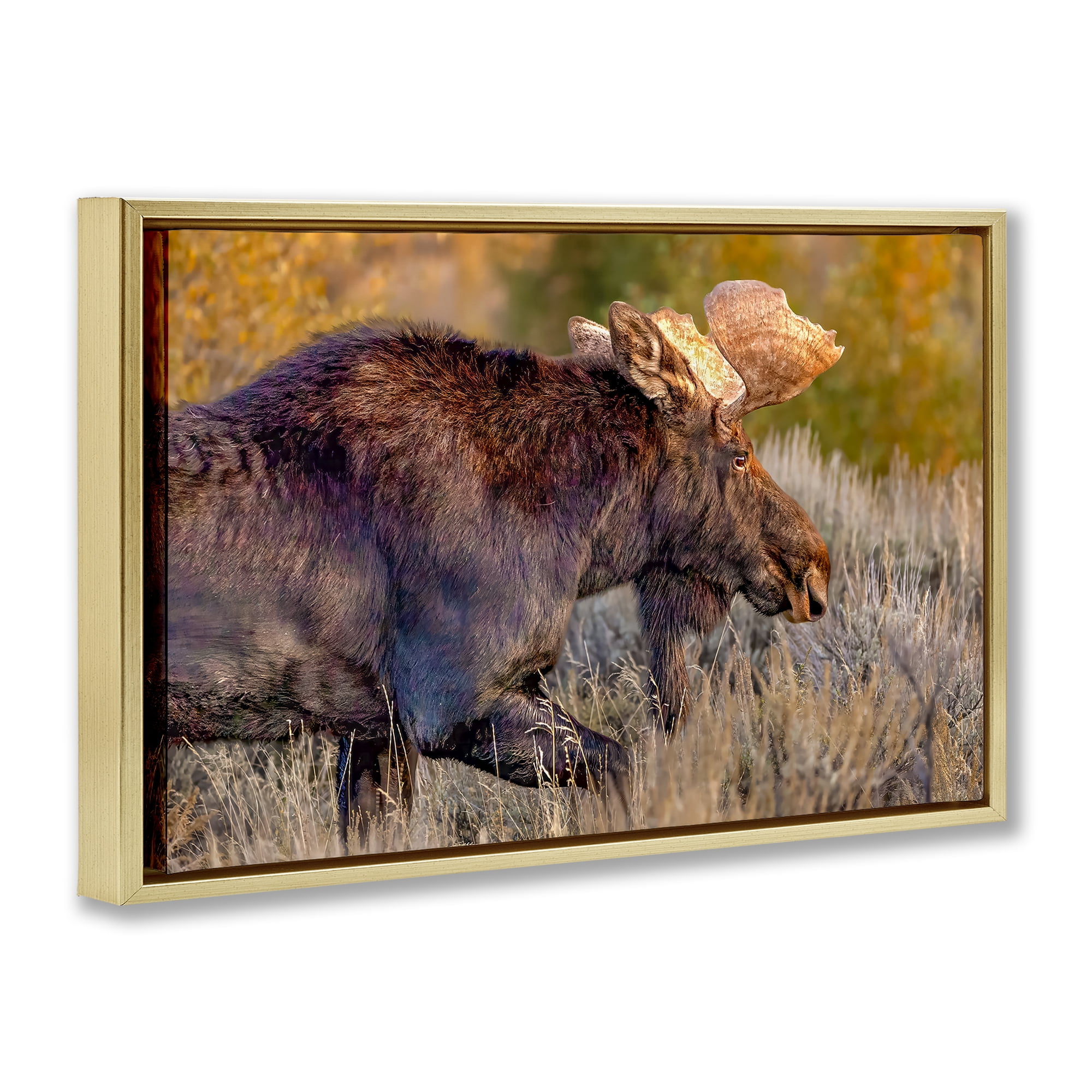 Stupell Industries Bull Moose At Dusk Gold Framed Floater Canvas Wall Art, design by Shelley Carlisle