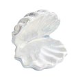 thumbnail image 2 of Plato de cerámica para joyería, soporte para joyas, regalo para mujer, cuenco para llaves con forma de concha, estuche para joyas Blanco, 2 of 9