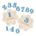 thumbnail image 1 of HILABEE Baby Monthly Milestone Cards Sign Gift Keepsake Memories Unique Double Sided Blue, 1 of 9