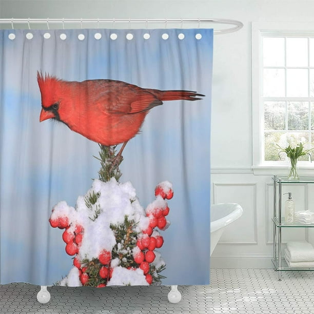 Cynlon Blue Beautiful Male Northern Cardinal Cardinalis On Festive Spruce Bough Bathroom Decor Bath Shower Curtain 66x72 Inch Com Male Northern Cardinal Cardinalis, Cardinal Shower Curtain Hooks