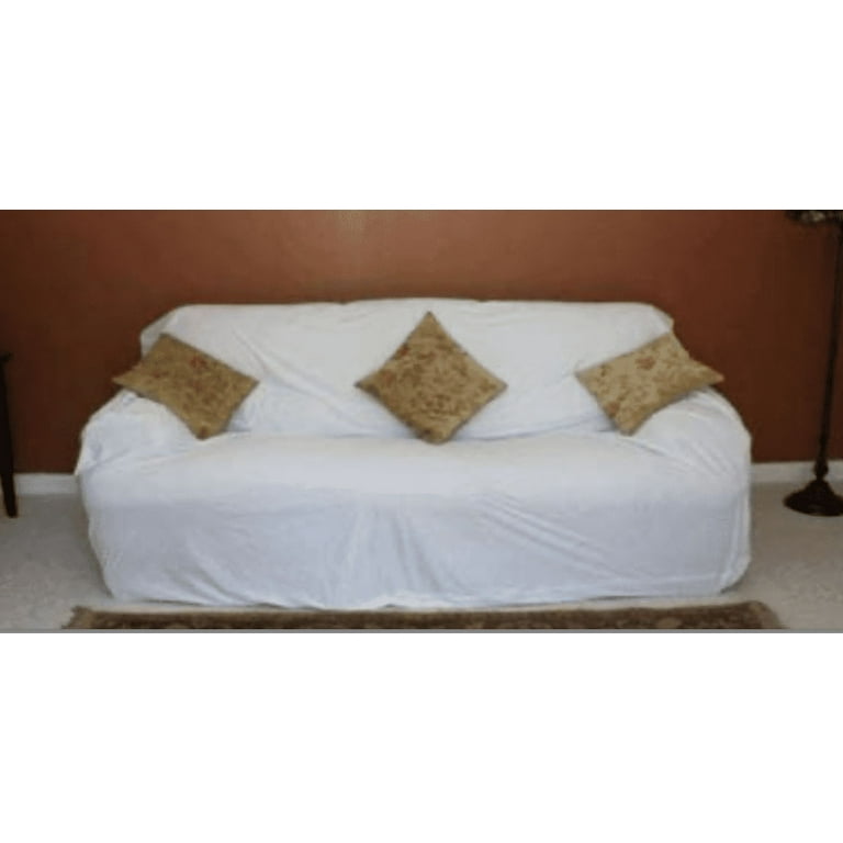 Sofa Bags For Bed Bugs Baci Living Room