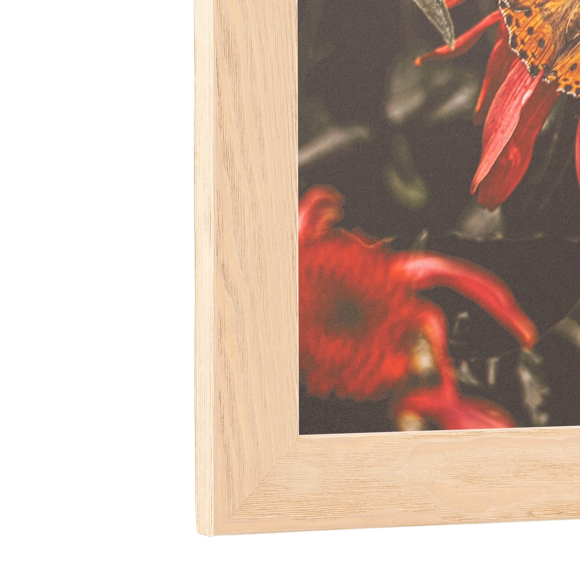 ArtToFrames 18" x 24" Clear Stain Picture Frame, 18x24 inch White Wood Poster Frame (WOM-4290), 5 Pack