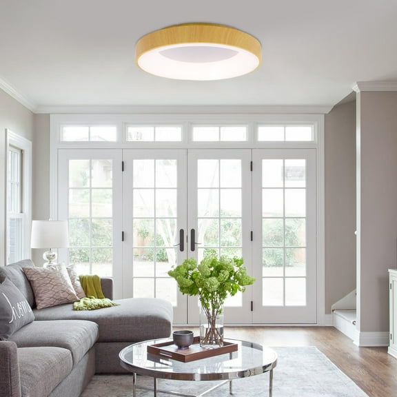 36W Round Ceiling Light Fixture LED Ceiling Light Minimalist Round Ceiling Lamp Dimmable Lighting Fixture