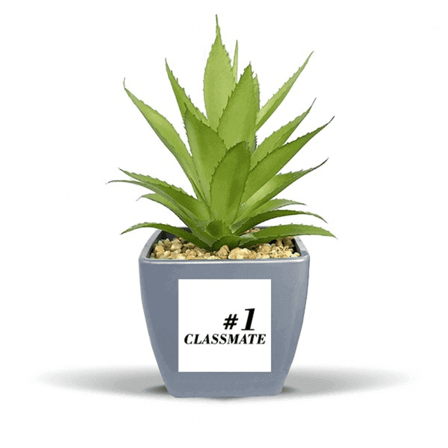 Numéro 1 Saison de Remise des Diplômes Pot de Fleurs Ananas Faux Vase Mini Décor
