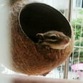 thumbnail image 7 of Natural Coconut Hamster Hideaway, Bird and Small Animal Toy, 7 of 7