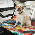 thumbnail image 5 of Qxltty Colorful Flow Patterns Cat litter Pads Pet Set of 3 Diaper Mats Center Anti-leakage Layer Absorbent Soft and Comfortable, 5 of 7