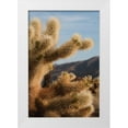 thumbnail image 3 of Erin Berzel 13x18 White Modern Wood Framed Wall Art Titled - Cholla Cactus I, 3 of 5