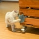 thumbnail image 1 of Cepillo de pelo para gatos Colco Almohadilla para rascar gatos Azul Peine de cepillo impermeable, 1 of 8