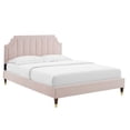thumbnail image 3 of Modway Sienna Performance Velvet King Platform Bed in Pink Finish, 3 of 11