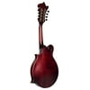 ROCKY TOP MANDOLIN F STYLE AMERICAN ROOTS WINE RED