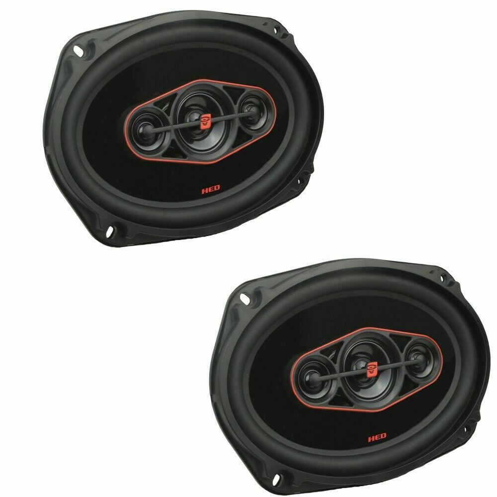 Rockford Fosgate P3D210 Punch P3 10" subwoofer with dual 2ohm voice