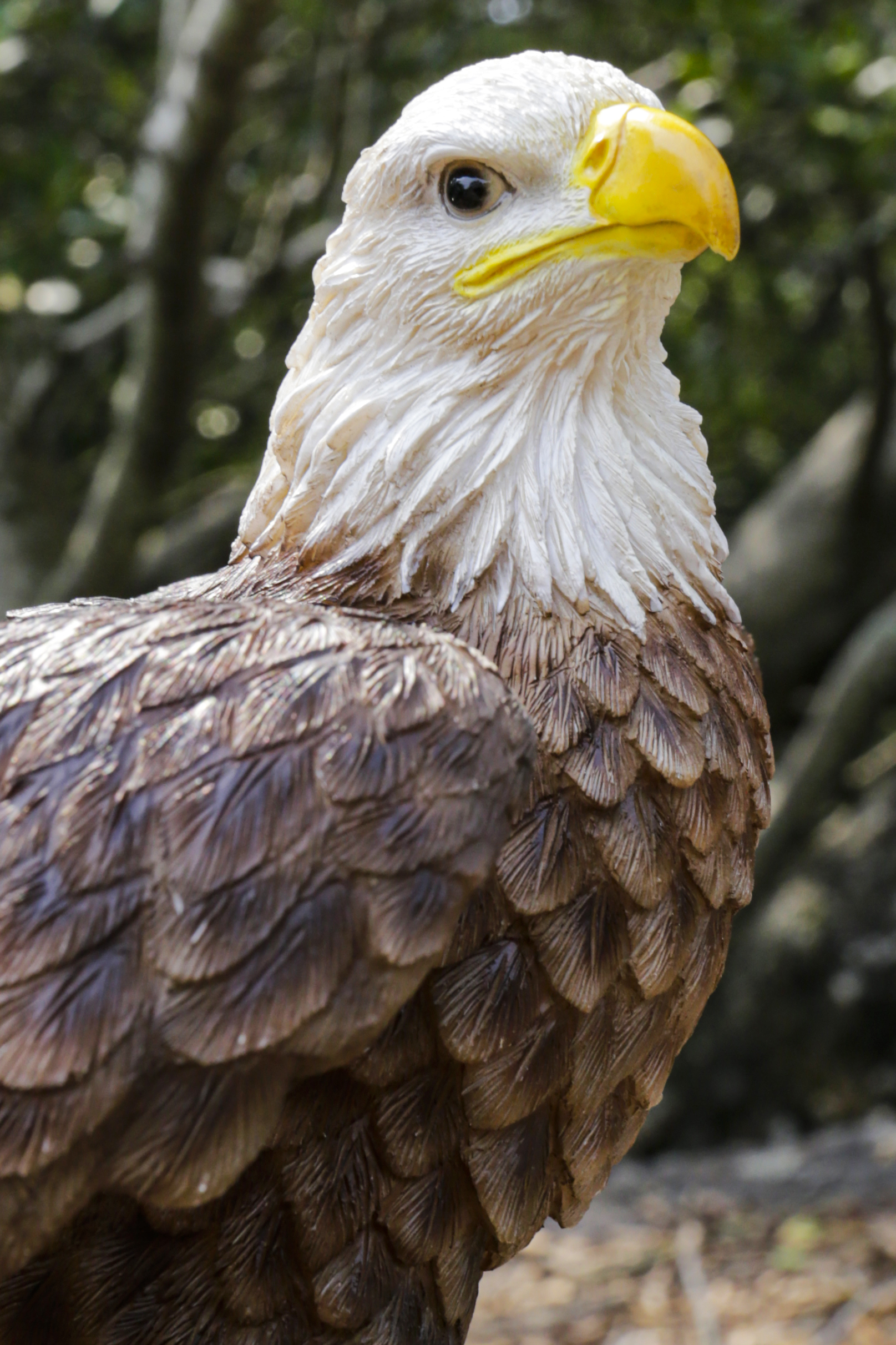 MOTION ACTIVATED SINGING EAGLE 