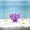 87#Purple, variant on Artificial Corals for Aquarium Decoration, Realistic Small Reef Ornaments for Fish Tank, Safe Multi Hole Hideout for Betta Shrimp Freshwater Saltwater Aquascaping Setup