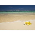 thumbnail image 2 of Hawaii  Oahu  Lanikai Beach  Two Plumerias Resting On The Sand Of A Gorgeous Tropical Beach. Poster Print, 2 of 2