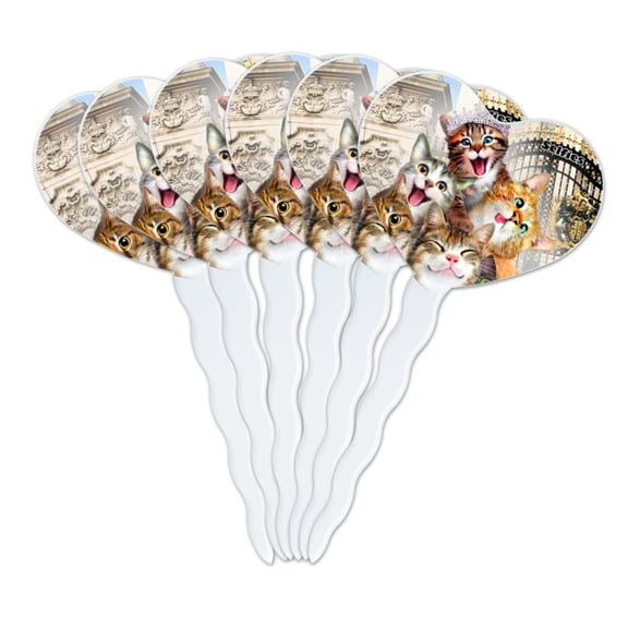 Cats Selfie at London Palace England Britain Heart Love Cupcake Picks Toppers Decoration Set of 6