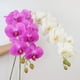 thumbnail image 5 of Tallos de orquídeas Flores artificiales Real Touch Látex Faux Phalaenopsis Ramas 9 Flores grandes 38 pulgadas brillar Juguete, 5 of 6