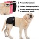 thumbnail image 2 of Ruifaya Pantalones menstruales para perros transpirables antiinfecciones para mascotas cachorros menstruación Bri ✨d, 2 of 7