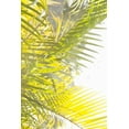 thumbnail image 2 of Millet, Karyn 13x18 White Modern Wood Framed Museum Art Print Titled - Palm Fonds, 2 of 4