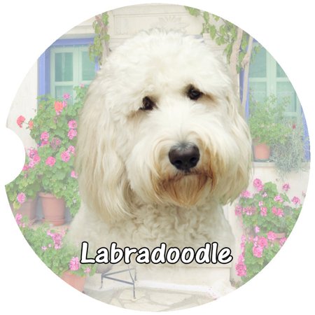 

Labradoodle Car Coaster Absorbent Stoneware Car Cup Holder Coaster Set of 2