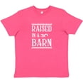 thumbnail image 3 of Inktastic RAISED in a BARN in White Youth T-Shirt, 3 of 5