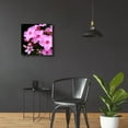 thumbnail image 4 of Epic Art 'Pink Flowers 1' by Photoinc Studio, Acrylic Glass Wall Art, 24"x24", 4 of 8